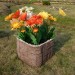 Цветник КАНЬОН купить в Серпухове