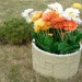Цветник КАНЬОН купить в Серпухове
