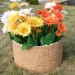Цветник КАНЬОН купить в Серпухове